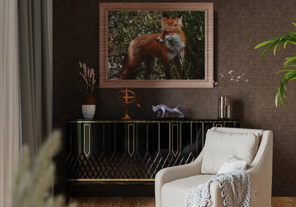 Kanada - Yukon - The Observer